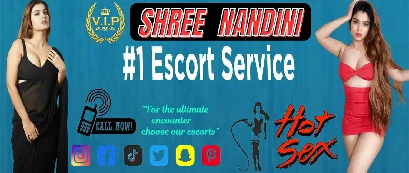 Shree Nandini Delhi escort service bannner